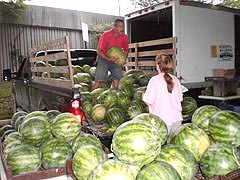  Baltimore Farmers' Market, Holliday St. & Saratoga St., Baltimore, Maryland