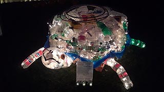 [photo, Plastic turtle, Garden Glow, Ladew Topiary Gardens, 3535 Jarrettsville Pike, Monkton, Maryland]