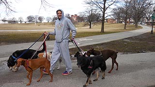 [photo, Walker with seven dogs, Patterson Park, Baltimore, Maryland]