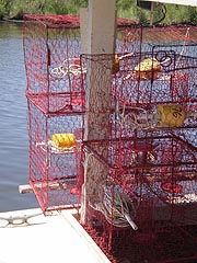 [photo, Crab pots (traps), Chesapeake Beach, Maryland]